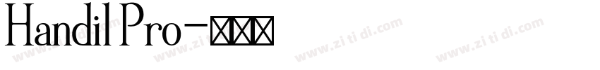 Handil Pro字体转换